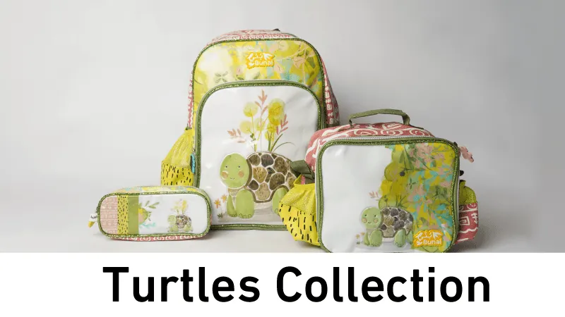 BTS BUNAI TURTLE WEB-new-media