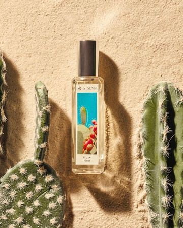 جاد عطر منزل مجموعة حكايات سعودية