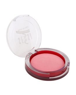 SENSI Pro Essence Terracotta Translucent Powder 47053